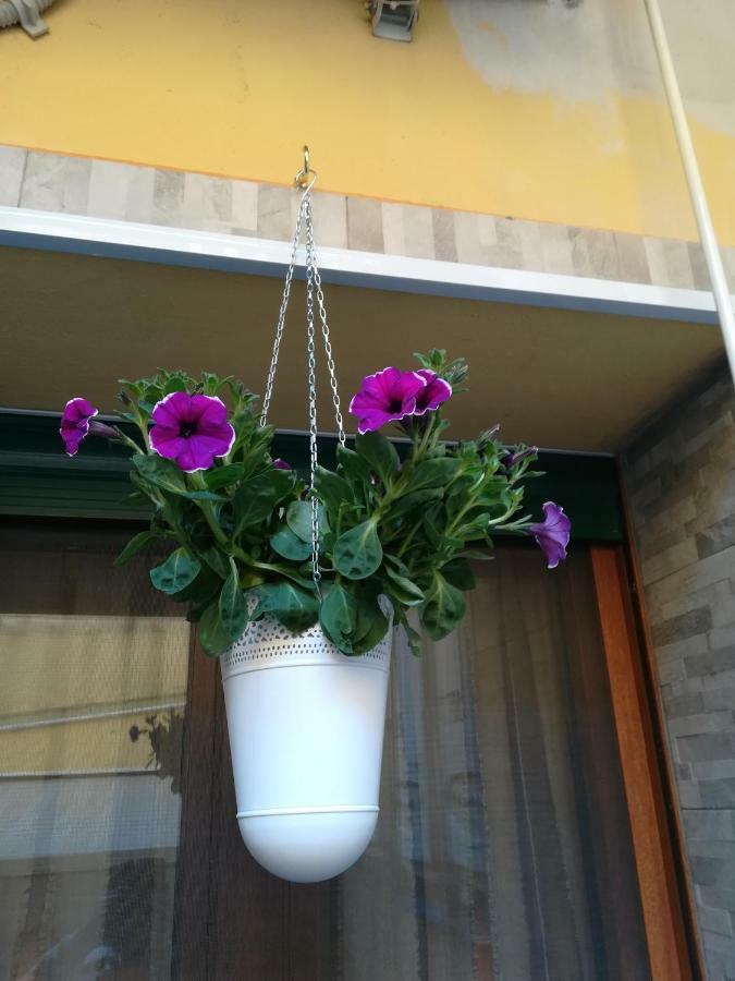 I Nuraghi II Apartment Cagliari Exterior photo